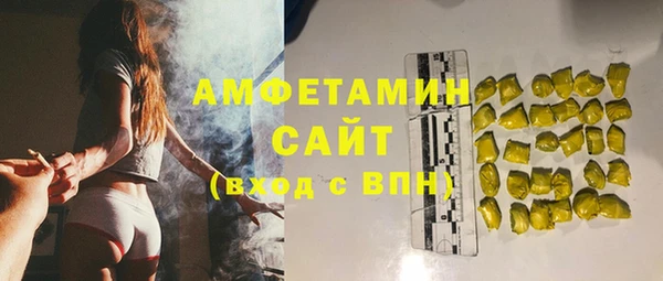 прущий лед Вяземский