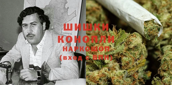 ешки Вязьма