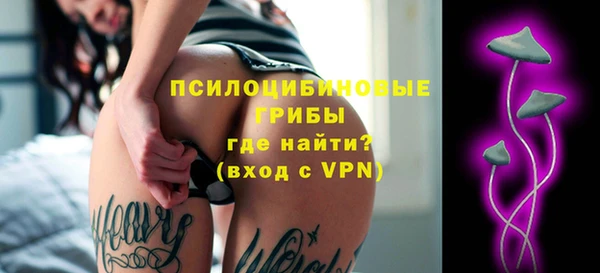 ешки Вязьма