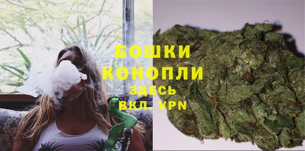прущий лед Вяземский