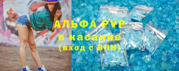 прущий лед Вяземский