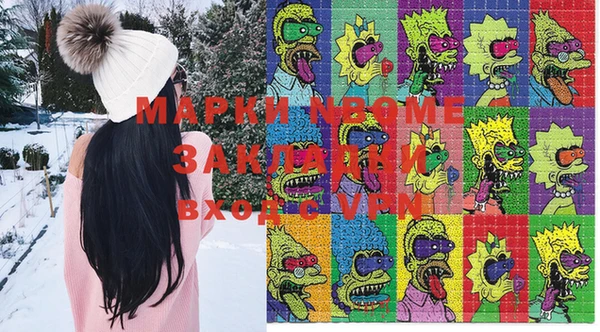 прущий лед Вяземский