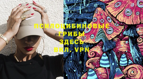 ешки Вязьма
